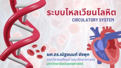 ระบบไหลเวียนโลหิต